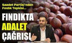 Saadet Partisi’nden Fındık Tepkisi: “Bir Gün Fındık Toplayın da Öyle Fiyat Açıklayın!”