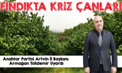Fındıkta Maliyet 190 TL’yi Aştı: Üretici Alarm Veriyor