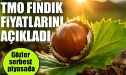 TMO 2025 fındık fiyatlarını açıkladı: Gözler serbest piyasada