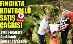 Soydan: “Üreticiler kontrollü hareket ederse fındık fiyatları yükselecek”