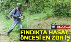Fındıkta Hasat Öncesi En Zor İş: Bahçe Temizliği İçin Yevmiye 6 Bin Liraya Çıktı
