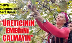 CHP’li Suiçmez’den Sert Uyarı: “Fındık Fiyatı En Az 250 TL Olarak Açıklanmalı”