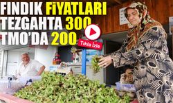 TMO 200 Lira Açıkladı, Tezgahta Fındık 300 Liradan Satılıyor