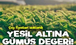 Yaş Çayda Büyük Fark! Devlet ve Özel Sektör Arasındaki Uçurum Derinleşiyor