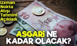 Asgari Ücreti Ne Kadar Olacak? Uzman Nokta Atışı Tahminini Açıkladı