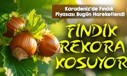 Fındıkta Bugün Fiyatlar Şaşırttı: Serbest Piyasada İl İl Güncel Liste Açıklandı
