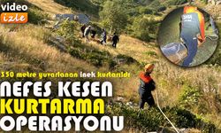 Yamaçtan düşen inek, AFAD’ın 12 saatlik çalışmasıyla kurtarıldı