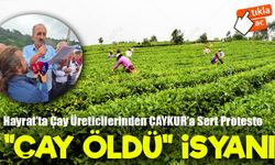 Trabzon’un Hayrat İlçesinde Çay Üreticilerinden ÇAYKUR’a Sert Protesto : “Çay Öldü”