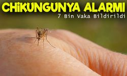 Chikungunya Çin’i Sardı: Hong Kong’da İlk Vaka Görüldü