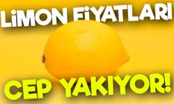 Zirai Don ve Rekolte Kaybı Limon Fiyatlarını Uçurdu