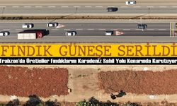 Trabzon’da Üreticiler Fındıklarını Karadeniz Sahil Yolu Kenarında Kurutuyor