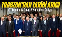 Trabzon’dan Sokak Hayvanları İçin Tarihi Adım: 107 Dönümlük Doğal Yaşam Alanı Geliyor