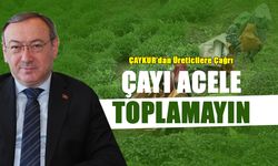 ÇAYKUR’dan Üreticiye Uyarı: “Çayı Acele Toplamayın”