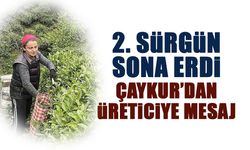 İkinci Sürgün Sona Erdi! ÇAYKUR'dan Mesaj