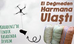 Karadeniz’de Fındık Hasadında Devrim: Üreticilerin Yükünü Dronlar Hafifletti!
