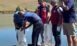 10 Bini Aşkın Balık Doğaya Salındı! Yayla Turizmini Canlandıracak