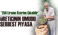 Fındık Üreticilerinden Fiyat Beklentisi: “250 Liranın Üzerine Çıkabilir”