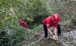 Giresun’da Fındık Toplarken Feci Olay! Anne Hayatını Kaybetti, Oğlu Yaralandı