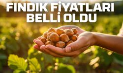 Fındık Üreticisine TMO’dan Rekor Fiyat: Alımlar 25 Ağustos’ta Başlıyor