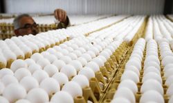 Yumurta Fiyatlarında Yüzde 10 Artış Beklentisi! YUM-BİR’den Tüketicilere Uyarı