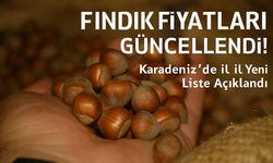 Fındık Fiyatları Güncellendi! Karadeniz’de İl İl Yeni Liste Açıklandı