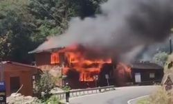 Giresun Kuzalan Tabiat Parkı’nda Yangın: Restoran ve Kafe Küle Döndü