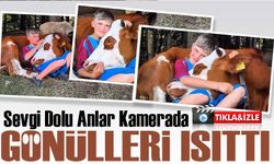 Yaylada hayvan otlatan küçük çocuğun onlarla kurduğu samimi dostluk, görenlerin içini ısıttı