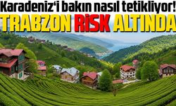 Karadeniz’de Alerjik Hastalıklar Artıyor: Uzmanlardan Erken Tanı Uyarısı