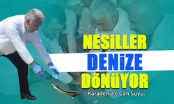 Karadeniz’e Can Suyu! Nesiller Denize Dönüyor