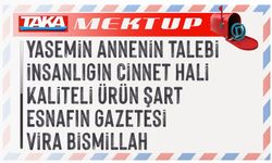 İnsanlığın Cinnet Hali