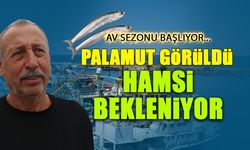 Palamut Görüldü, Hamsi Bekleniyor! Sezon Başlıyor...