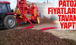 Fındıkta Rekolte Düştü, Patoz Mesaisi Kısaldı