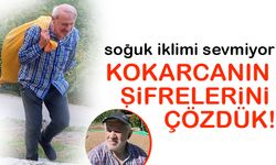 Fındıkta Kokarca Alarmı: Rekolte Düşüyor, Üretici Devletten Destek Bekliyor