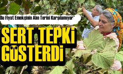 CHP Trabzon Milletvekili Sibel Suiçmez, TMO’nun açıkladığı 200 TL’lik fındık fiyatına sert tepki gösterdi