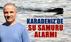 Karadeniz'de Su Samuru Alarmı! Uzman Konuştu