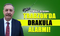 'Drakula ile Mücadele Sürüyor! Trabzon'da 13 Milyon TL'lik İlaç