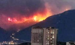 “Artvinliler Ayak Bağı Değildir”: Külekçi’den Aslan’a İstifa Çağrısı
