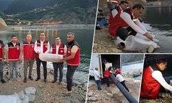 Gümüşhane’de Baraj ve Göletlere 725 Bin Sazan Yavrusu Bırakıldı