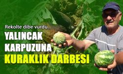 Yalıncak Karpuzuna Kuraklık Darbesi! Rekolte Dibe Vurdu