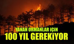3 Bin Hektar Yandı! Yenilenmesi 100 Yıl Alacak...