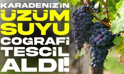 Ünye İzabella Üzüm Suyu Coğrafi İşaret Tescili Aldı!