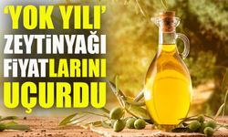 ‘Yok Yılı’ Zeytinyağı Fiyatlarını Uçurdu: Litresi 240 TL’ye Yükseldi