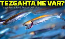 İstanbul’da Balık Sezonu Başladı: Hamsi, İstavrit ve Palamut Tezgahlarda Yerini Aldı