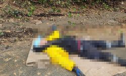 Trabzon Arsin’de Belediye Çöp Kamyonu Kaza Yaptı: 2 Yaralı