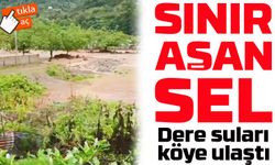 Sınır Aşan Sel: Gürcistan’dan Gelen Taşkın Macahel’de Hasara Yol Açtı
