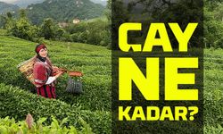 Çayda Bugün Fiyat Krizi: ÇAYKUR Ve Özel Sektör Arasında Büyük Uçurum