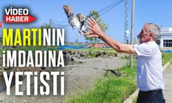 Görele’de misinaya dolanan martı duyarlı vatandaş tarafından kurtarıldı