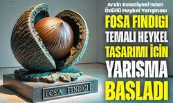 Arsin Belediyesi’nden 100 Bin TL Ödüllü Heykel Tasarım Yarışması