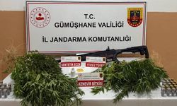 Gümüşhane Şiran’da Yabancı Madde Operasyonu: Kenevirle Yakalandı
