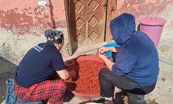 Samsun'da kadınlar kış hazırlığı için kuşburnu marmeladı yaptılar